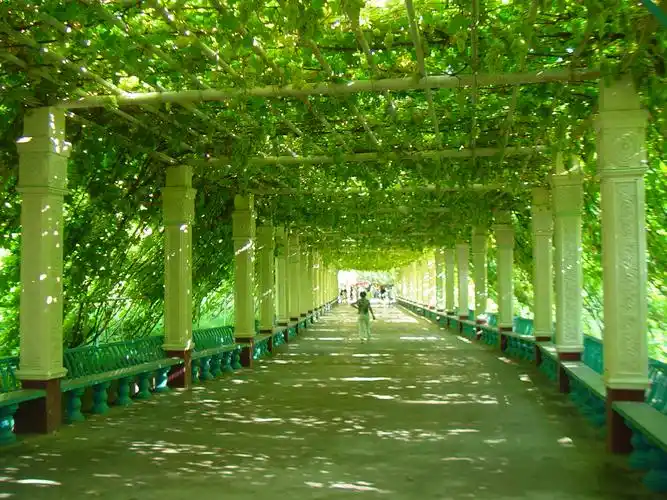 畅游新疆网 - 吐鲁番葡萄沟