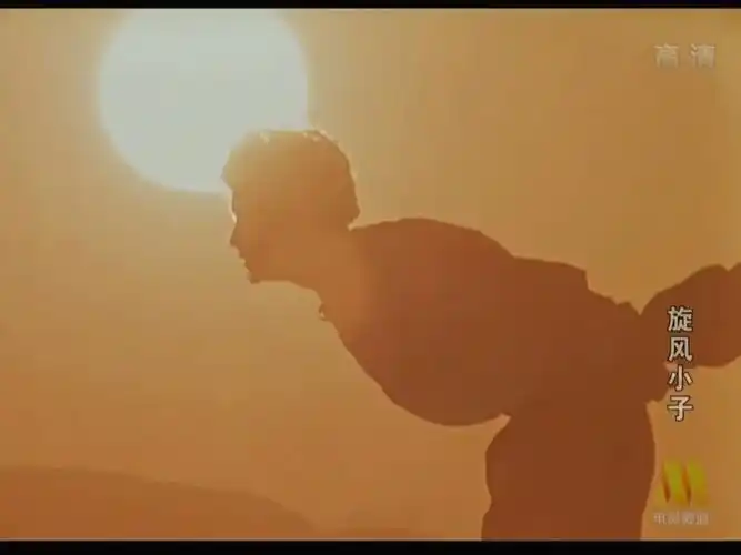 《笑林小子》1994由朱延平执导,林志颖,徐若瑄,张震岳,郝劭文,释小龙