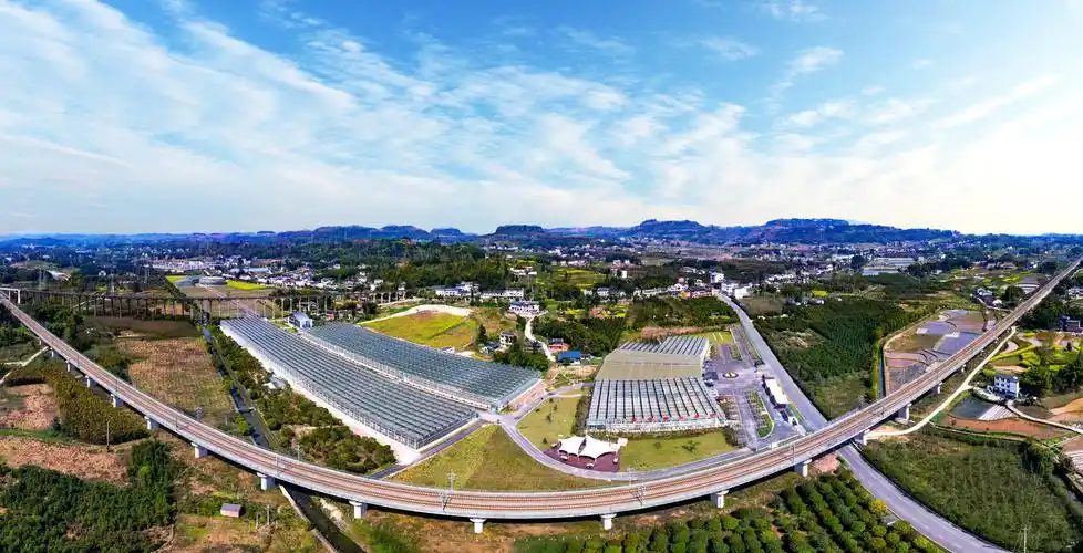 重庆市分行支持的梁平区双桂田园综合体乡村振兴产业发展项目 (1).jpg