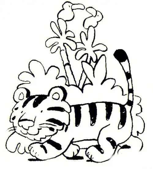 老虎简笔画绘画素材