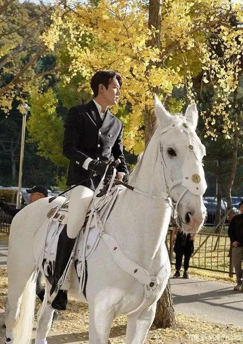王子来了!骑白马的李敏镐,明媚的阳光,金灿灿的银杏叶,养眼
