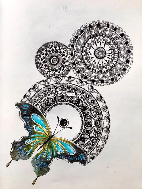 禅绕画蝴蝶翻飞