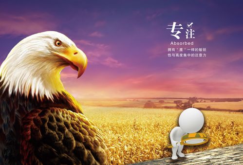 海报印制设计展板素材企业文化专注标语写真