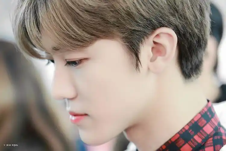 罗渽民 - 堆糖,美图壁纸兴趣社区