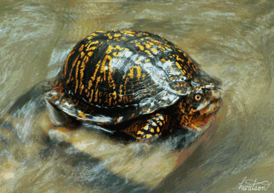 398_280gif 动态图 动图