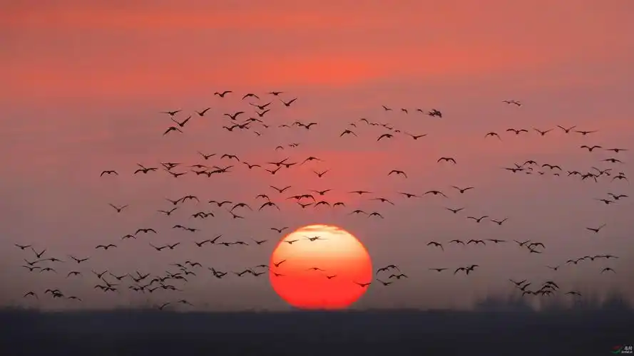 太阳升起的时候