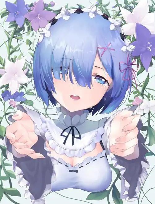 雷姆雷姆re从零开始的异世界生活