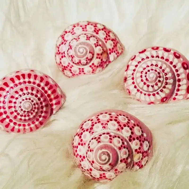 变废为宝|海螺壳别扔,一起来做手工.#手工diy #亲子手工 - 抖音