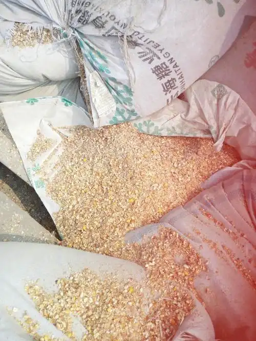 大量现货供应玉米下脚料玉米皮玉米骨头玉米毛子玉米36子