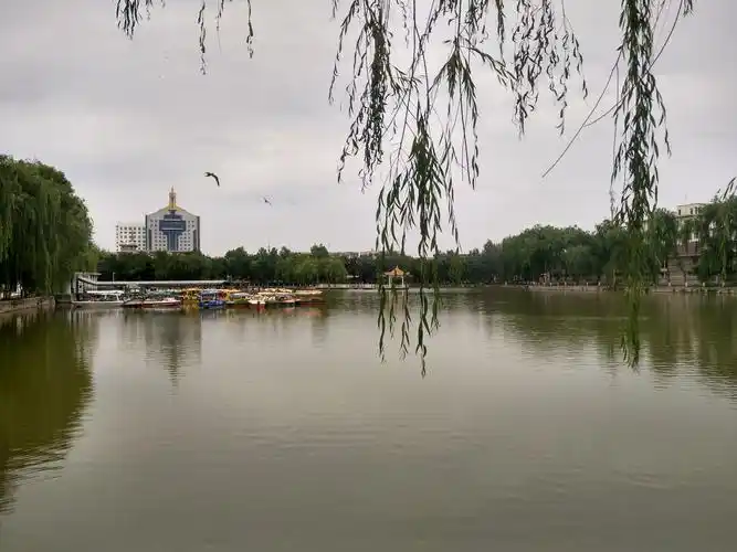 塞上明珠坝上江南银川市内精华风光慢慢略过