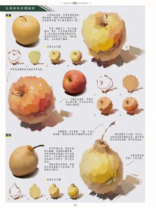 美术生基础干货色彩静物水果单体步骤