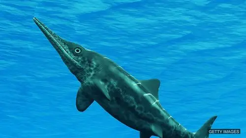 sea dragon fossil is largest on record "史上最大"鱼龙