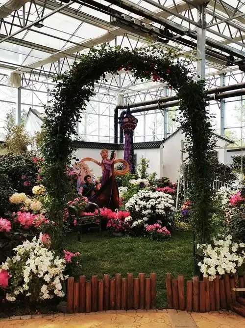 面朝大海,杜鹃花开—日照第二届杜鹃花展(室内篇)