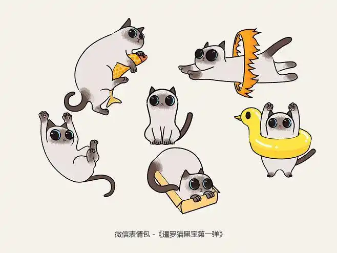 暹罗猫插图