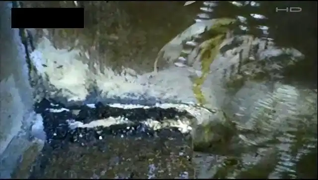 1981年香港温莎大厦狐仙杀人事件