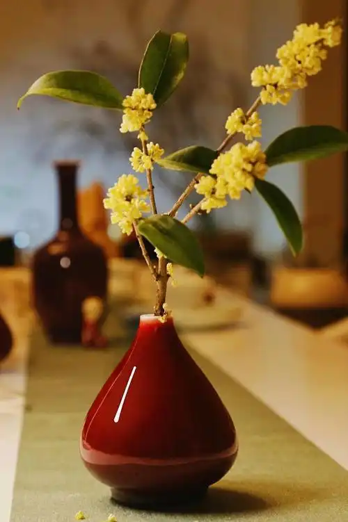 桂花和什么花瓶搭配合适