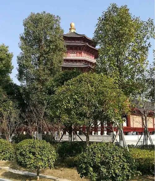 参观芷江太和塔