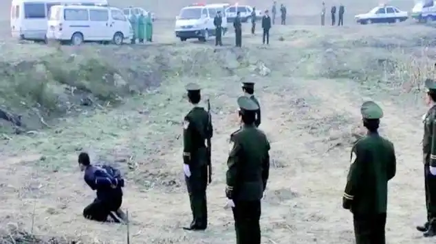 犯罪片|刑侦片|战争片|枪毙|谍战片|干货|悬疑片_网易视频