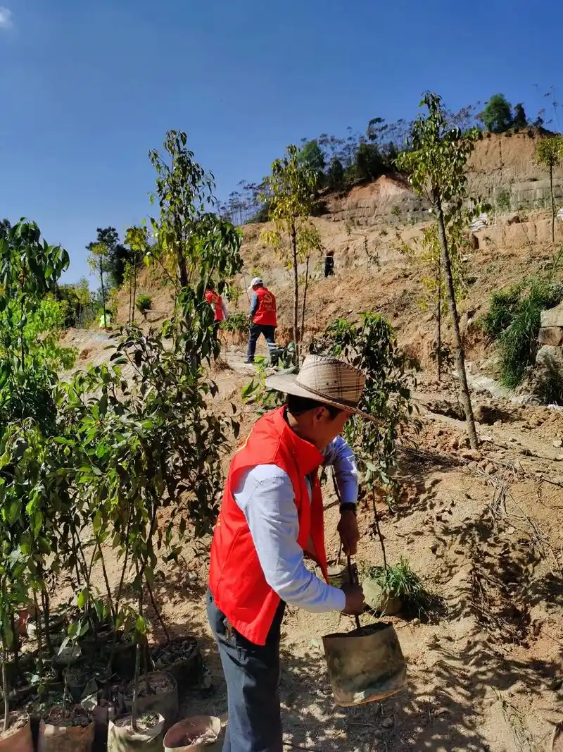 植树节 #只有照片能记录这份珍贵 #种树 - 抖音