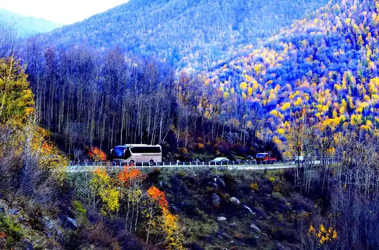 2020.9.24新疆贾登峪国家森林公园沿途风光 - 美篇