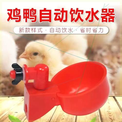 夏川陵鸡鸭自动饮水碗鹅家禽饮水碗鹌鹑鸽子自动饮水器饮水碗
