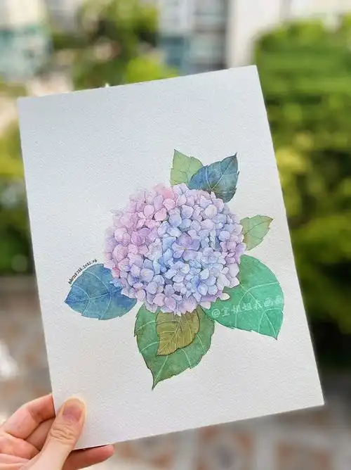 6月的绣球花开了(带线稿水彩步骤图)