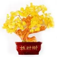 旺运头像图片 旺财旺运吉利有余的招财树_微信头像图片大全