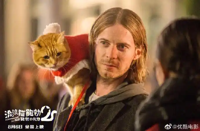 猫奴必看流浪猫鲍勃2鲍勃的礼物
