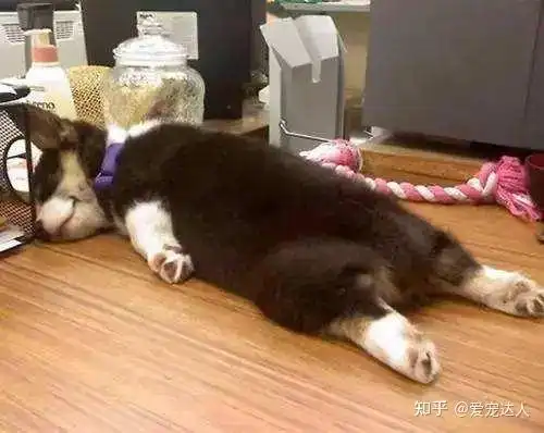 2,肚子向下,趴着睡