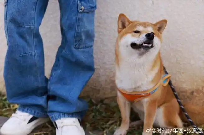 张真源 你最重要