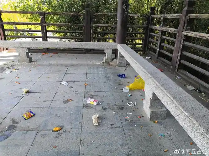 今天的汉梁公园,是多么的脏,希望大家爱护环境,爱护商丘.