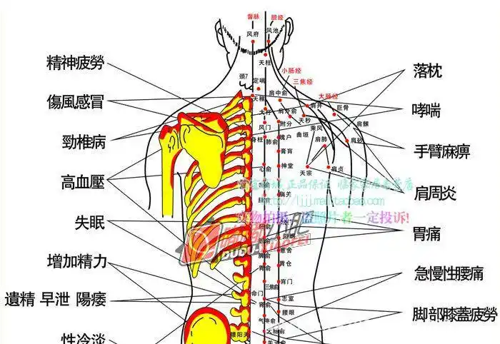 厂家直销超人气随身自粘硅胶 拔罐器吸湿罐带磁铁 礼盒一套10个