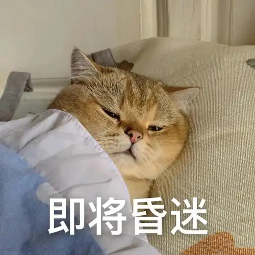 沙雕猫咪表情包别敬屎不吃吃罚屎