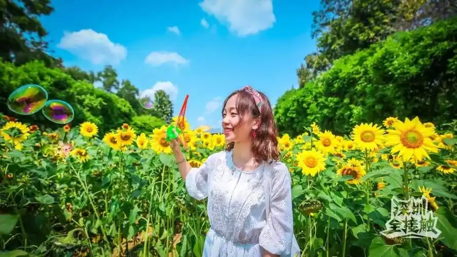 第二招:姿势放松随意都说把人物融入风景里更有意境比近照更有感觉