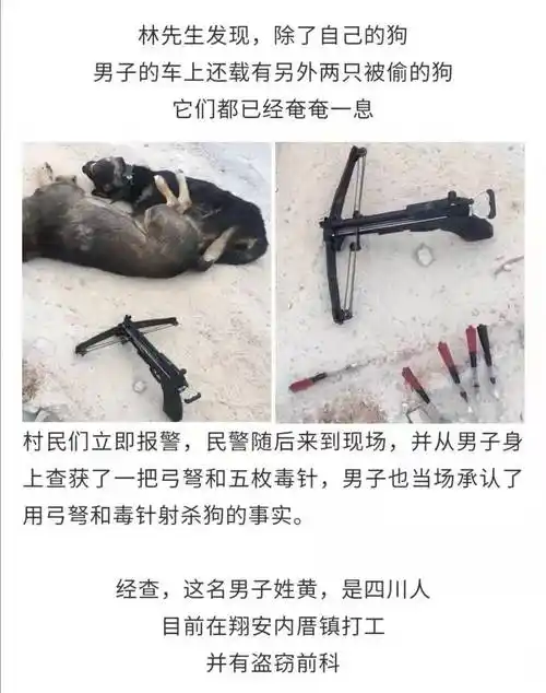 男子带着"毒针"和弓弩进村,光天化日下射杀.