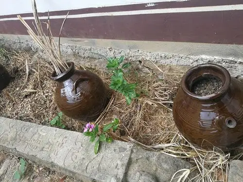 种花的坛子,挺特别的.