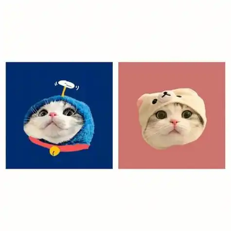 猫猫情头猫猫永远爱你头像可爱头像情侣头像