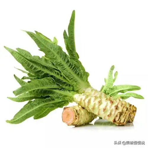 莴笋热量极低,还低钠高钾,三高的朋友捡到宝了