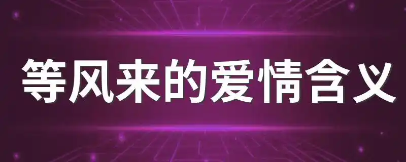 等风来的爱情含义 等风来在爱情中有什么含义-酷奇经验网