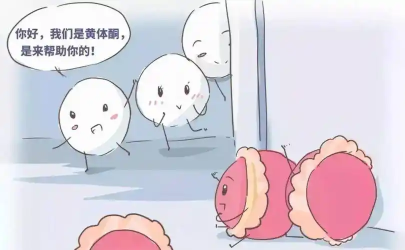 当受精卵植入后,黄体酮还会让子宫产生胎盘,并减少妊娠子宫的兴奋性