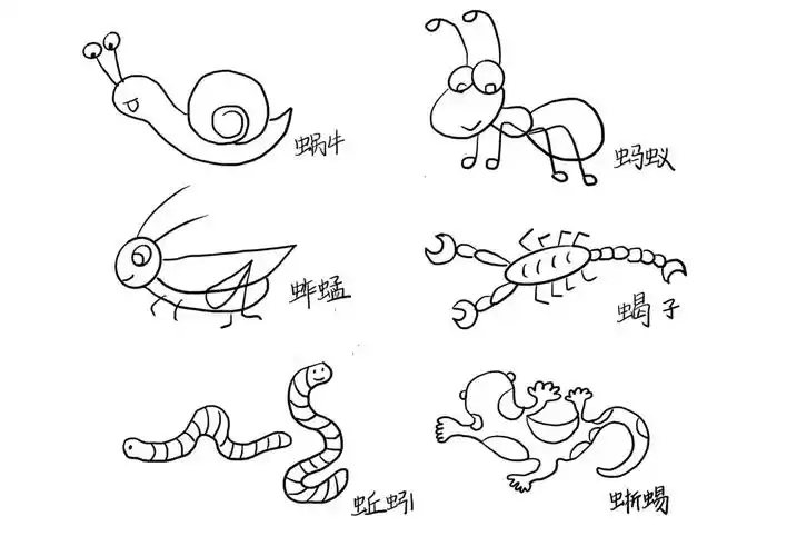 简笔画昆虫记三