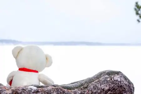悲伤和等待奇迹的概念照片
