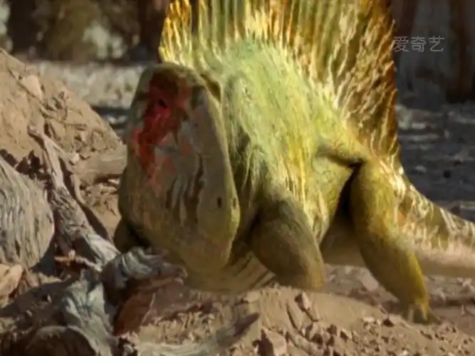 p>异齿龙又名异齿兽,长棘龙,它是类似哺乳动物的盘龙类肉食动物,生活