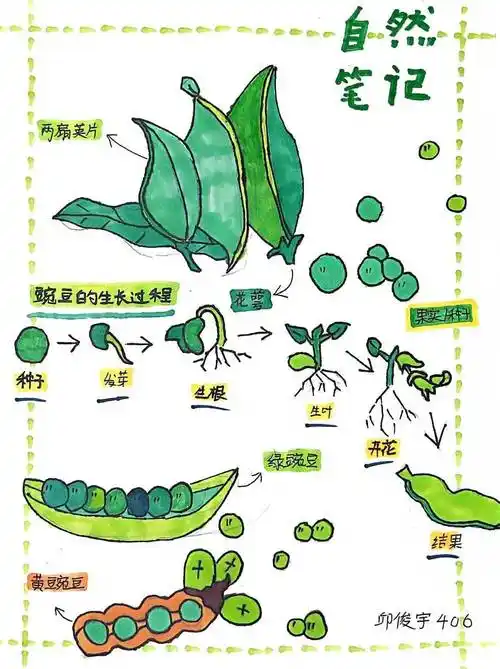 校园动态|"书香浸润童年 阅享睿智时光" ——三明市