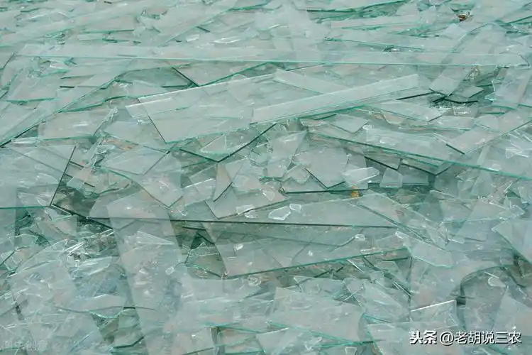 碎玻璃是肥料吗?听老农怎么说