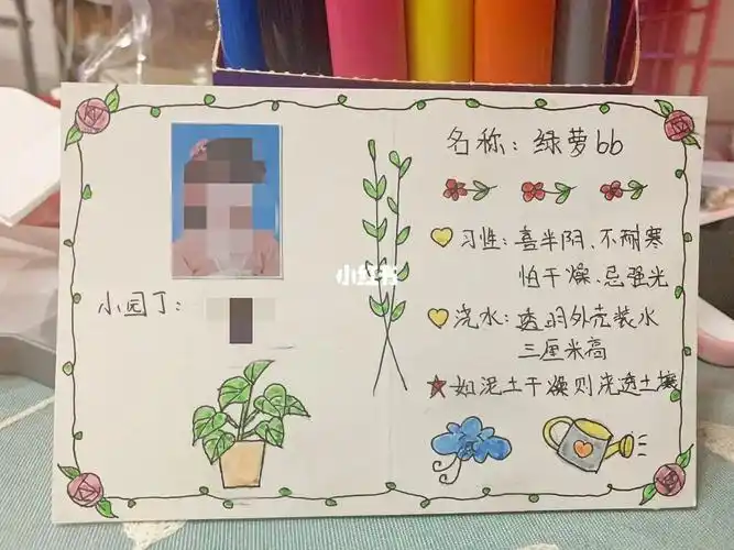 幼儿园植物绿萝标签