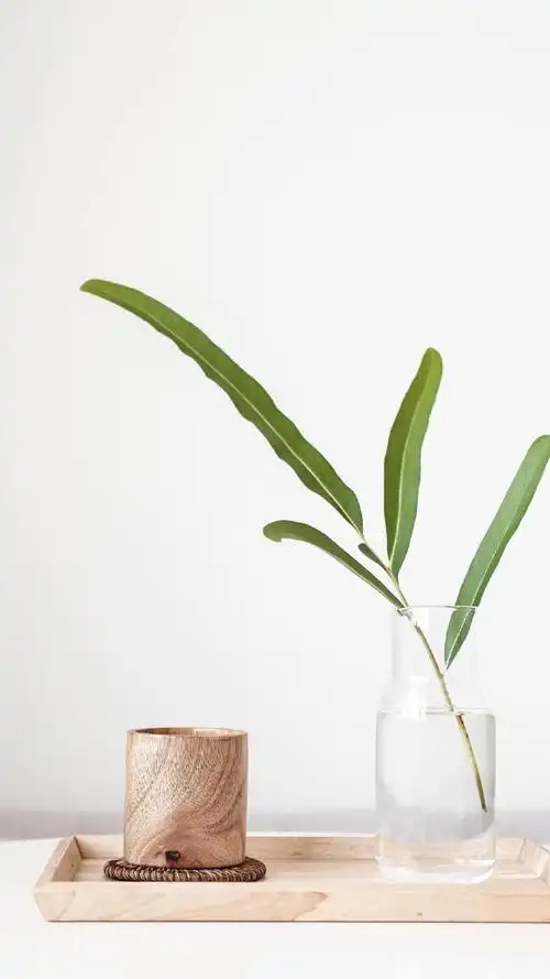 生活中的美好小确幸