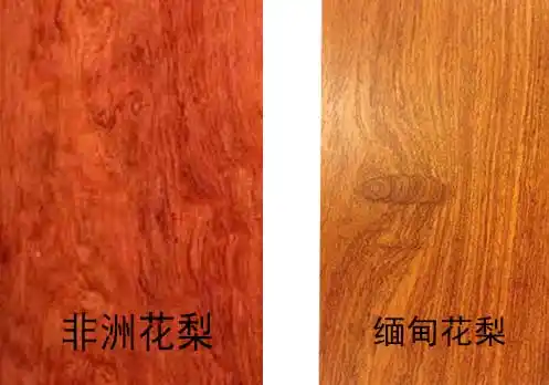 缅甸花梨木的颜色偏红,心材橘红,砖红或紫红色,整体看上去好像肉色