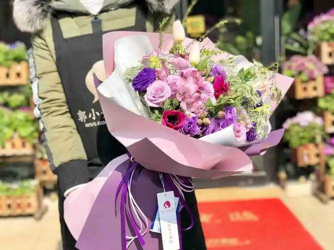 安妮玫瑰(安妮玫瑰简介)