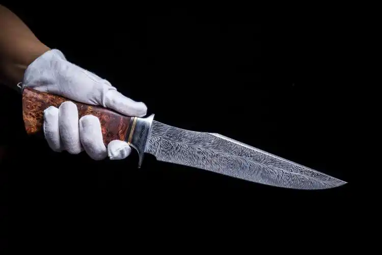 奢华的户外猎刀男人的最爱